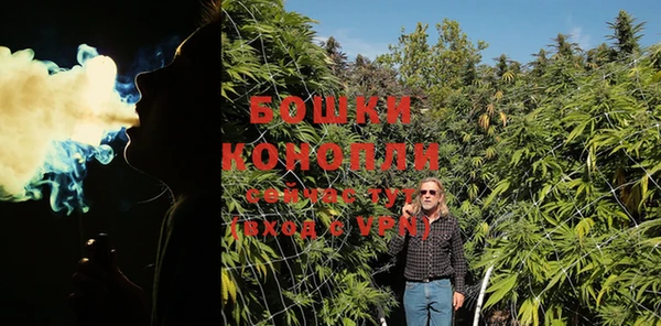PSILOCYBIN Баксан