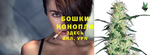 PSILOCYBIN Баксан