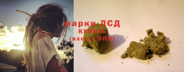 PSILOCYBIN Баксан