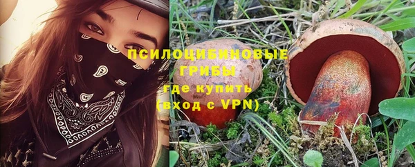 бошки Балахна