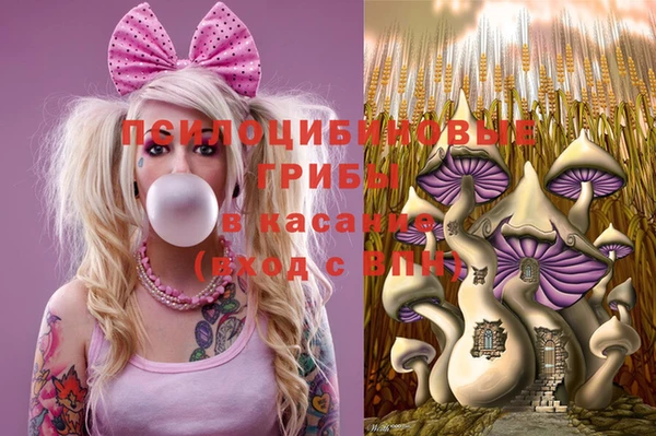 молекула духа Балабаново